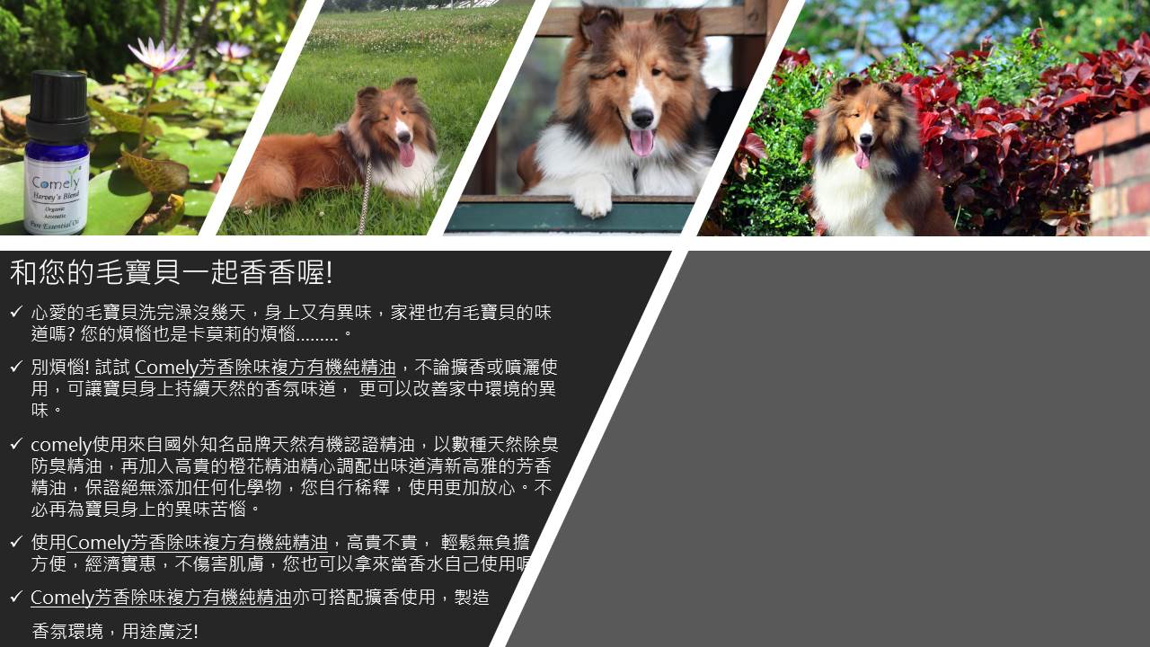 ڭƤ褶